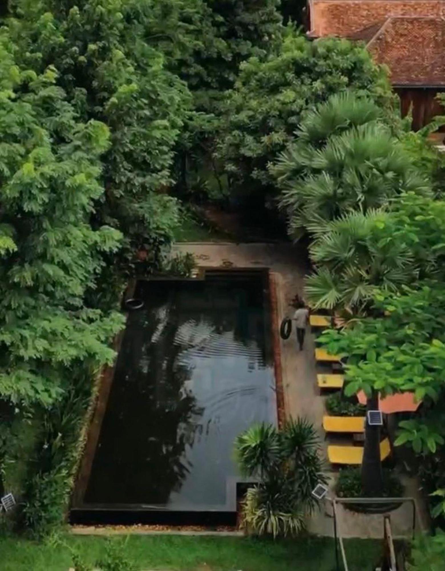 סיאם ריפ Dontrei Villa Angkor מראה חיצוני תמונה